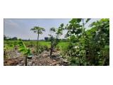  Dijual Lahan 3,7 Hektar di Buni Asih,  Surat Girik, Desa Karang Baru, Cikarang Utara 