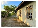 Dijual Rumah Asri Luas Tanah 600m2 di Tengah Sawah Kedawung Sragen